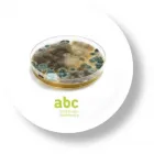Unternehmen 1 Bild ABC- SCHÄDLINGSBEKÄMPFUNG KAMMERJÄGER Schädlingsbekämpfungsunternehmen am Schwyz SZ