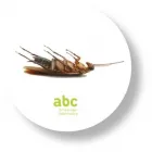 Unternehmen 3 Bild ABC- SCHÄDLINGSBEKÄMPFUNG KAMMERJÄGER Schädlingsbekämpfungsunternehmen am Schwyz SZ