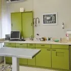 Immagine 2 azienda ACACIA CENTRO VETERINARIO CLINICA, PARADISO Ärzte in Paradiso TI