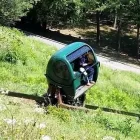 Immagine 2 azienda ADULA ASCENSORI SA Fahrstuhlwartung, Treppenbau, Treppenwartung in Pambio-Noranco TI