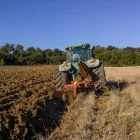 Immagine 2 azienda AGRO-TREUHAND AARGAU AG Unternehmensberater, Organisationsberater in Rupperswil AG