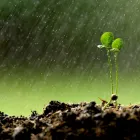 Immagine 5 azienda AGRO-TREUHAND AARGAU AG Unternehmensberater, Organisationsberater in Rupperswil AG