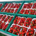 Entreprises 4 image AGROSERVICE M + H GMBH Obstbauunternehmen dans Urdorf ZH
