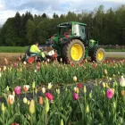 Entreprises 5 image AGROSERVICE M + H GMBH Obstbauunternehmen dans Urdorf ZH