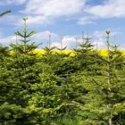 Entreprises 1 image AGROSERVICE M + H GMBH Obstbauunternehmen dans Urdorf ZH