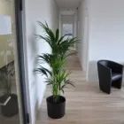 Immagine 14 azienda AKUPUNKTUR YIN YANG MEDI LANGENTHAL Ärzte in Langenthal BE