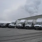 Immagine 2 azienda ALBA TRANSPORTE GMBH Umzugsunternehmen in Däniken So SO