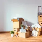 Immagine 5 azienda ALBA TRANSPORTE GMBH Umzugsunternehmen in Däniken So SO