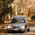 Immagine 7 azienda ALLG. BESTATTUNGSDIENSTE GERBER AG Soziale Einrichtungen/Fürsorge in Olten SO