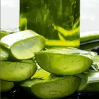 Entreprises 1 image ALOEVI Solarien dans Zurich ZH