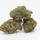 Entreprises 1 image ALPLANT GMBH Tabakwaren Einzelhandel dans Bern BE