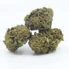 Entreprises 6 image ALPLANT GMBH Tabakwaren Einzelhandel dans Bern BE