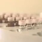 Entreprises 8 image ALPLANT GMBH Tabakwaren Einzelhandel dans Bern BE