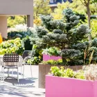 Immagine 2 azienda ALTERSZENTRUM HOTTINGEN Soziale Einrichtungen/Fürsorge in Zürich ZH