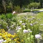 Immagine 1 azienda ALTERSZENTRUM SCHIFFLÄNDI Soziale Einrichtungen/Fürsorge in Gränichen AG