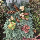 Entreprises 6 image ALTSTETTER BLUMEN Nahrungs-/Genussmittel dans Zürich ZH