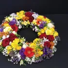 Entreprises 1 image ALTSTETTER BLUMEN Nahrungs-/Genussmittel dans Zürich ZH