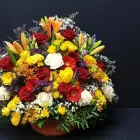 Entreprises 2 image ALTSTETTER BLUMEN Nahrungs-/Genussmittel dans Zürich ZH