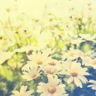 Immagine 1 azienda ANDREAS RÜEGG Ärzte in Zürich ZH