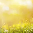 Immagine 2 azienda ANDREAS RÜEGG Ärzte in Zürich ZH