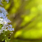 Immagine 3 azienda ANDREAS RÜEGG Ärzte in Zürich ZH