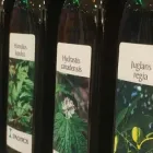 Entreprises 6 image APOTHEKE LAGGER GRÄCHEN Medizin/Gesundheitswesen dans Grächen VS