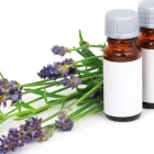 Immagine 6 azienda APOTHEKE MEYER AG Medizin/Gesundheitswesen in Sursee LU