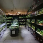 Immagine 3 azienda AQUARIUM SEEROSE, ZOOFACHGESCHÄFT S. LEUCH Zoohandlungen in Zurich ZH