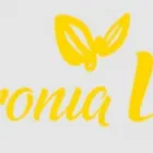 Immagine 1 azienda ARONIA VITAL Büroserviceunternehmen in Brunnadern SG