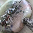 Unternehmen 5 Bild ATELIER DONARTE am Spiez BE