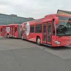 Immagine 28 azienda ATELIER S&G AG Werbewirtschaft/Verkaufsförderung in Steinhausen ZG