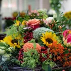 Entreprises 16 image AU BOUQUET Garten/Pflanzen dans Basel BL