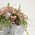 Entreprises 7 image AU BOUQUET Garten/Pflanzen dans Basel BL