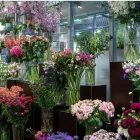 Entreprises 1 image AU BOUQUET Garten/Pflanzen dans Basel BL