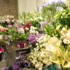 Unternehmen 2 Bild AUBERT FLEURS Transport/Verkehr/Tourismus am Neuchâtel NE