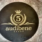 Entreprises 1 image AUDIBENE GMBH Medizinische Geräte und Reparatur Wartung dans Berne BE