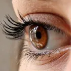 Unternehmen 12 Bild AUGENOPTIK KUHN AG Optiker am Baden AG