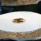 Entreprises 2 image BÄCKEREI CONFISERIE GALLI AG Nahrungs-/Genussmittel dans Thun BE
