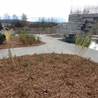 Entreprises 2 image BALSIGER GARTENGESTALTUNG GMBH Land-/Forstwirtschaft/Fischerei dans Beringen SH