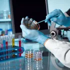 Entreprises 1 image BAMOS AG Medizin/Gesundheitswesen dans Bazenheid SG