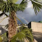 Entreprises 6 image BAUSORT - DIE RECYCLING OASE Transport/Verkehr/Tourismus dans Niederlenz AG