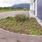 Immagine 4 azienda BB GEBÄUDEREINIGUNG AG BLITZ BLANK Maschinenbau in St. Gallen SG