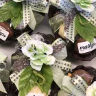 Unternehmen 39 Bild BECK-MATHYS | CAFÉ CAPRICE Nahrungs-/Genussmittel am Schöftland AG