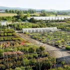 Unternehmen 16 Bild BERNHARD BAUMSCHULEN AG Gartengeräte, Landgeräte Einzelhandel am Sirnach TG