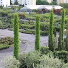 Unternehmen 17 Bild BERNHARD BAUMSCHULEN AG Gartengeräte, Landgeräte Einzelhandel am Sirnach TG
