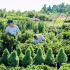 Unternehmen 23 Bild BERNHARD BAUMSCHULEN AG Gartengeräte, Landgeräte Einzelhandel am Sirnach TG