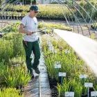 Unternehmen 24 Bild BERNHARD BAUMSCHULEN AG Gartengeräte, Landgeräte Einzelhandel am Sirnach TG