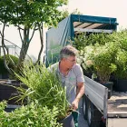 Unternehmen 2 Bild BERNHARD BAUMSCHULEN AG Gartengeräte, Landgeräte Einzelhandel am Sirnach TG