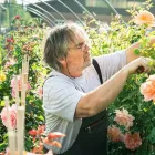 Unternehmen 13 Bild BERNHARD BAUMSCHULEN AG Gartengeräte, Landgeräte Einzelhandel am Sirnach TG