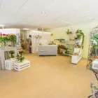 Immagine 1 azienda BERNHARD WEISSEN BLUEMEPARADIES AG Garten/Pflanzen in Visp VS